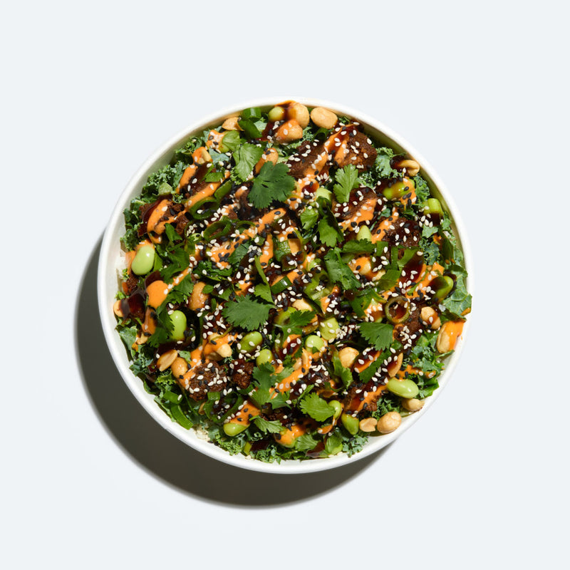 Beef Teriyaki