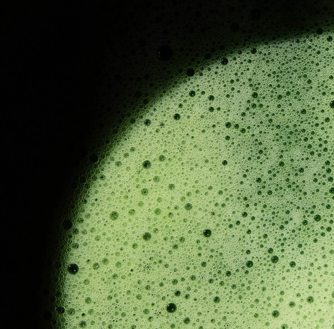 Økologisk Matcha 30g
